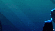 Wybory Debata GIF