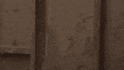 208 GIF by Togetherness