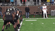 san marcos t GIF by Texas State Football