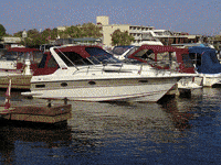 boats GIF