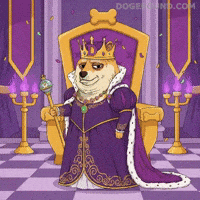 Shiba Inu Dog GIF by Doge Pound