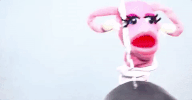 GIF by Abortion Access Front