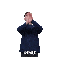 Meme Love Sticker by SWR3