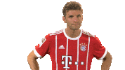 fc bayern hello Sticker by Bundesliga