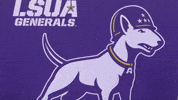 Soccer Generals GIF by LSUA Athletics