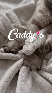 Caddy's IS