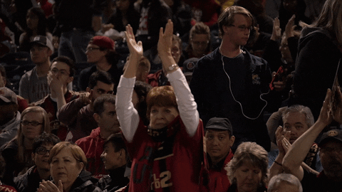 fans cheer GIF by Atlanta United