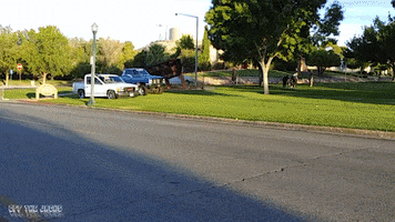 ford cars GIF by Off The Jacks