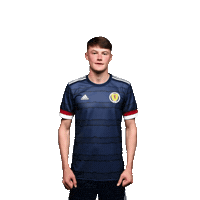Euro 2020 Football Sticker by UEFA