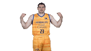 Liga Endesa Basketball Sticker by ACB