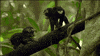 Pbs Nature Aww GIF by Nature on PBS