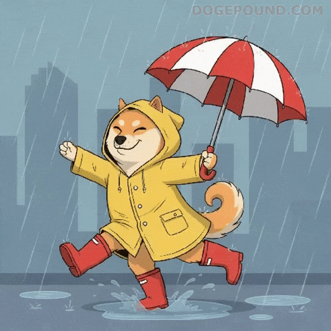 Happy Shiba Inu GIF by Doge Pound