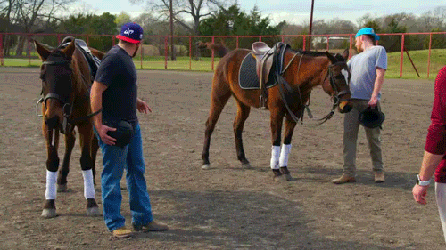 cmt GIF by The Dude Perfect Show