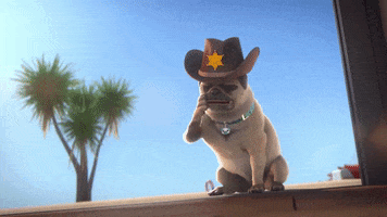 Look Pug GIF by MightyMike