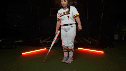 Pearl River Softball GIF by Pearl River Athletics