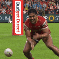 Scuba Herbie GIF by Dolphins NRL