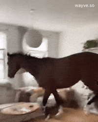 Mood Feels GIF by Darwin