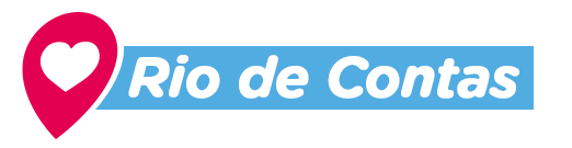 Bahia Salvador Sticker by Democratas