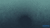 Fitness Health GIF by RENPHO