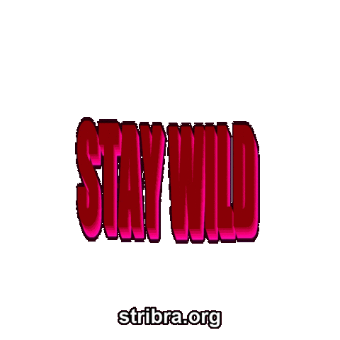 Neon Adventure Sticker by stribra