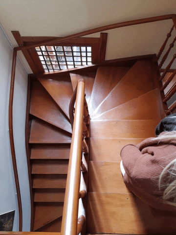 Matildamy giphyupload GIF