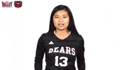 Missouri State Mvc GIF by Missouri Valley Conference
