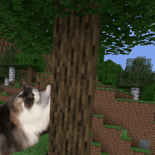 SingNO2 giphyupload komugi minecraft cat GIF