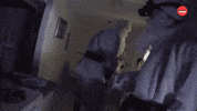 Santa Claus Christmas GIF by BuzzFeed