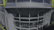 signal iduna park football GIF by Bundesliga
