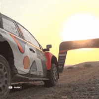 Motorsport Go GIF by FIA World Rally Championship