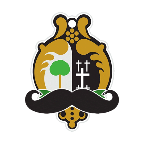 Sport Spain Sticker by Rugby El Salvador