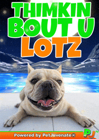 PetJuvenate petjuvenate henlo hooman fren love rescue dogs treatos and woofer for pupper GIF