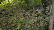 Matt Premiere GIF by Survivor CBS