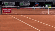 GIF by Tennis TV