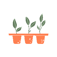 Plant Sticker by GreenportAalsmeer