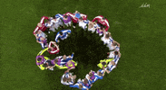 happy euro 2016 GIF by Sporza