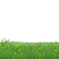 Agropecuária Sticker by Conexão Agricola