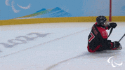 Paralympic Games GIF by International Paralympic Committee