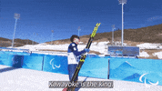 Paralympic Games GIF by International Paralympic Committee