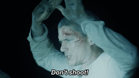 Don't shoot michael scofield GIF by Prison Break