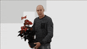 quattroplant quattro bloemenveiling quattroplant quattro plant GIF