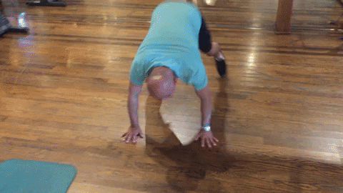 jackrabbit22 giphyupload GIF