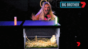 Scared Big Brother GIF by Big Brother Australia