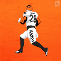Cincinnati Bengals Football GIF