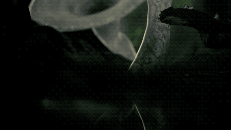 Animation 3D GIF by VALORANT Esports