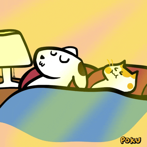Good Morning Cat GIF by Poku Meow
