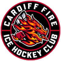 Fire Hockey Sticker by Cardiff Fire