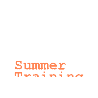 Snappler_ar st22 snappler summer training Sticker