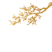 Gold Sticker by Piaget