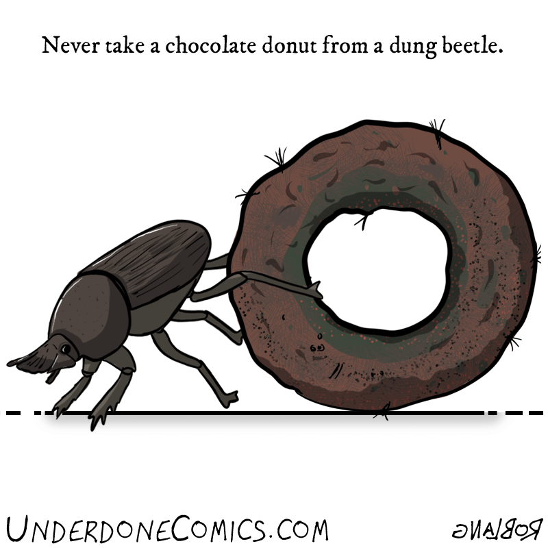 Dung Beetle GIF by Underdone Comics